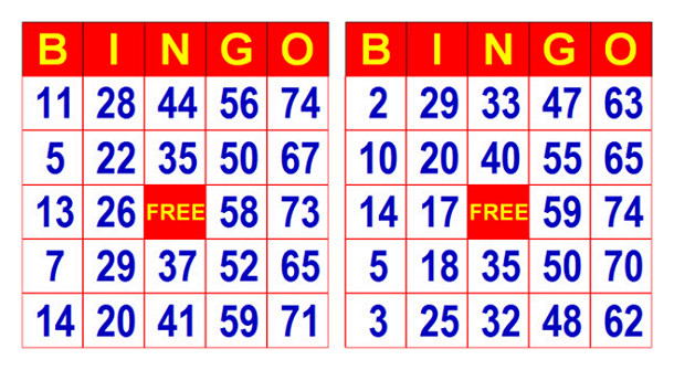 bingo cards